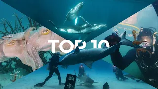 My TOP 10 UNDERWATER Moments (2021 Edition)