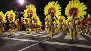 Comparsas Ritmo y Armonía · Carnaval 2014 · Santa Cruz de Tenerife