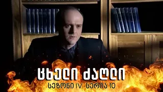 ცხელი ძაღლი | სეზონი 4 სერია 10