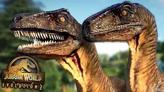 THE VELOCIRAPTOR Species Field Guide - Jurassic World Evolution 2 | HD