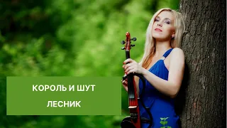 Король и Шут - Лесник (Violin cover) LIVE