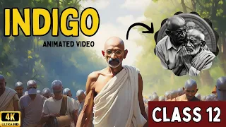 Indigo class 12 in hindi Animated video by Rahul Dwivedi | indigo class 12 | indigo class 12