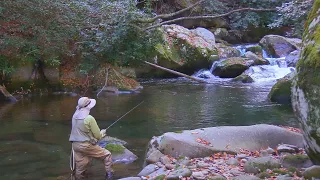 Fishing Big Creek in GSMNP, North Carolina