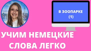 Немецкий язык. Как учить немецкие слова для начинающих. В ЗООПАРКЕ (1) #уроки_немецкого #немецкий