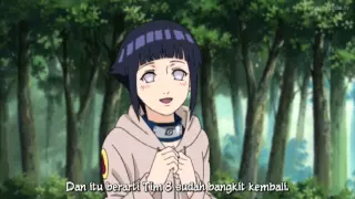Naruto Shippuden Episode 236 Bahasa Indonesia