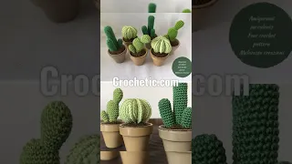 Crochet cactus free pattern