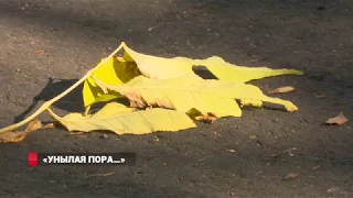 «Унылая пора…»: побороть депрессию