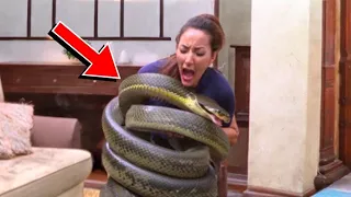 Unbelievable Pets That Ate Their Owners Right In Front Of Everyone