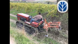 Nel vigneto: cingolato new holland e coltivatore fisso con zappetta interfilare