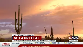 Dangerous humid heat poses threat to Tucson residents