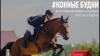 КОННЫЕ БУДНИ | Вадим Черевань о восстановлении лошадей после старта
