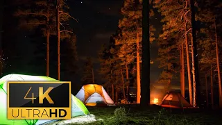 🌟 Crickets sound at night | Relaxing Night, Crickets, Fireplace, Campfire, Fire Flies, Deep Sleep