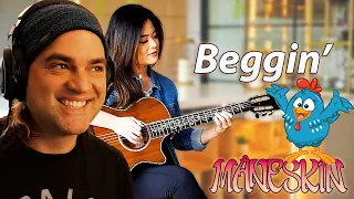 BAGUS! (Måneskin) Beggin' - Fingerstyle Guitar Cover | Josephine Alexandra Reaction // Kelewatan