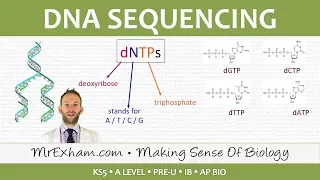 DNA sequencing - Post 16 Biology (A Level, Pre-U, IB, AP Bio)