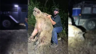 411 lb. wild boar caught near San Antonio golf course