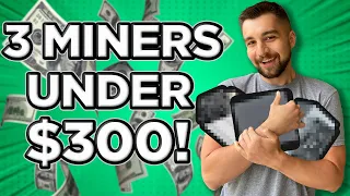 3 Profitable Miners YOU Can Buy Under $300!