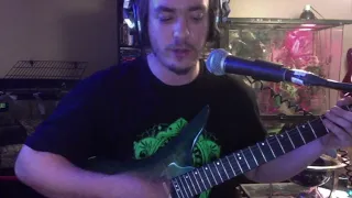 Dethklock Thunderhorse Cover Performed on Schecter Hellraiser SLS Auqaburst