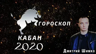 Гороскоп Кабан -2020. Астротиполог, Нумеролог - Дмитрий Шимко