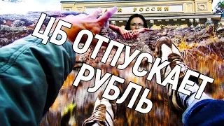 ЦБ отпускает рубль. Сколько бы я поднял ?