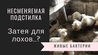 Несменяемая подстилка. Затея для лохов ...? То, о чем не говорят производители.