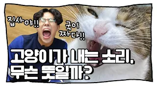 After watching this, you're certified for level 1 cat cry certificate