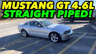 2006 Ford Mustang GT 4.6L V8 DUAL EXHAUST w/ STRAIGHT PIPES!