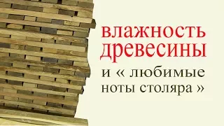 Влажность древесины и "любимые ноты столяра". Wood humidity.