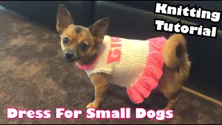 DIY How To Knit A Doggy Dress Knitting Tutorial