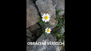 Obrácení věřících - Vojtěch Kodet