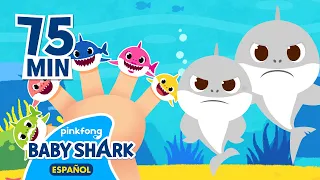 Enganchados Canciones Infantiles | Mejores Canciones de Tiburón Bebé | Baby Shark en español