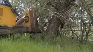 John Deere 850J pushing trees