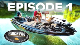 PERCH PRO 7 - Episode 1