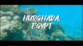 HURGHADA, EGYPT | Travel Film  | 4K | 2023