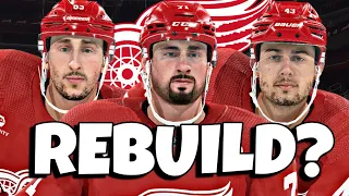 The Red Wings didn't Make The Playoffs So, I Rebuilt Them Into A Dynasty