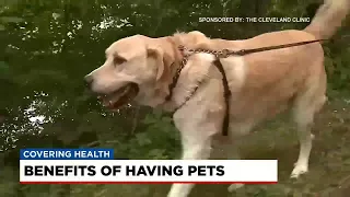 Having a pet can bring positive health benefits