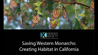 Saving Western Monarchs: Creating Habitat in California