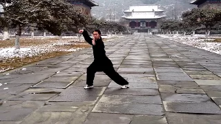 Wudang Taichi 28