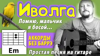 ИВОЛГА (ПОМНЮ, МАЛЬЧИК Я БОСОЙ) - ПРОСТАЯ ПЕСНЯ НА ГИТАРЕ (АККОРДЫ БЕЗ БАРРЭ) БОЙ (COVER)