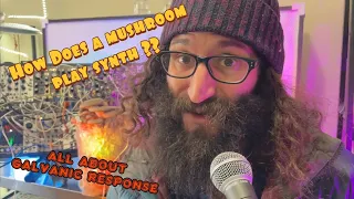 How The F Do Mushrooms Play Modular Synthesizer: Galvanic Response Edition