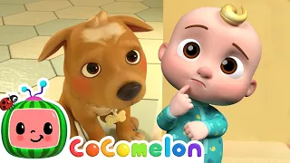 I Love My Dog Bingo | CoComelon Animal Time | Animals for Kids