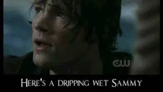 The Sammy Song