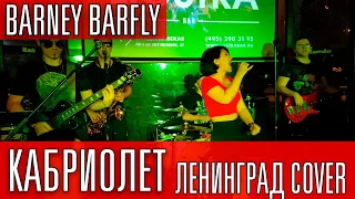 Ленинград - Кабриолет - Все идет по плану (BARNEY BARFLY cover)