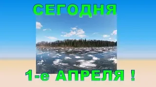 Сегодня 1-е апреля! С Днём смеха!