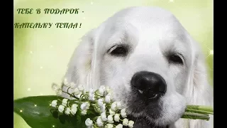 Всё будет хорошо, ты только верь!!! Позитив для друзей.