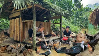 Build a new cage with bamboo - for chickens to lay eggs |  Linh's Life