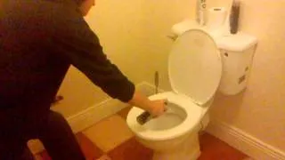 Toilet lynx fireball goes mad!!