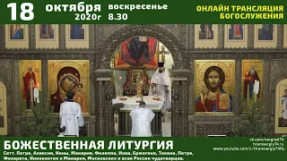 Божественая Литургия, поздняя. 18.10.2020г. воскресенье. 8:30. Онлайн-трансляция