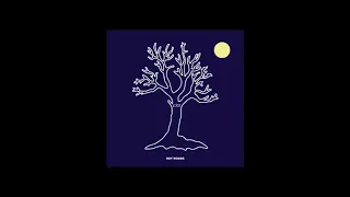 Roy Woods  - Drama feat Drake ( slowed to perfection / reverb )