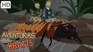 Aventuras con los Kratt -  Descubriendo Nuevas Criaturas