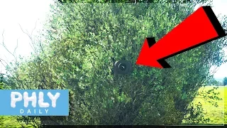 ULTIMATE BUSH KEMP TANK (War Thunder CHEEKI BREEKI Gameplay)